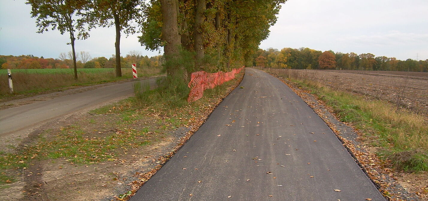 Radweg Reppenstedt-Oedeme Radweg Reppenstedt-Oedeme