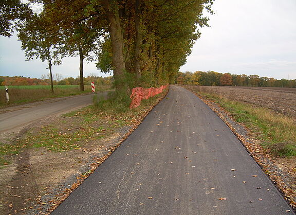 Radweg Reppenstedt-Oedeme