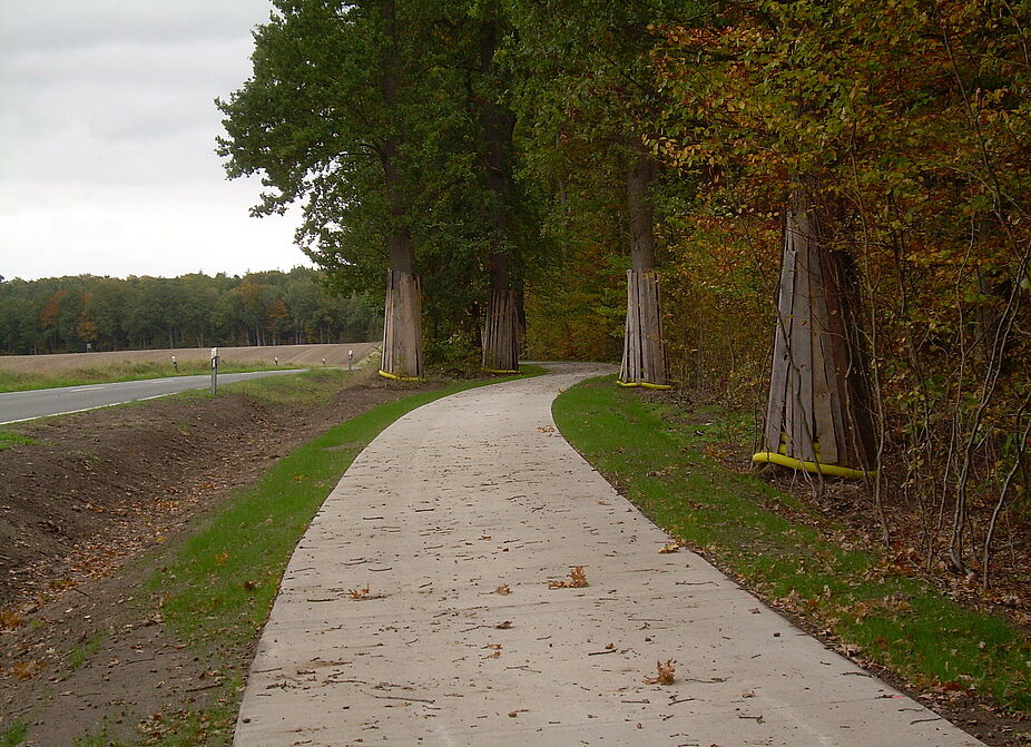 Baumschutz am Radweg Baumschutz am Radweg
