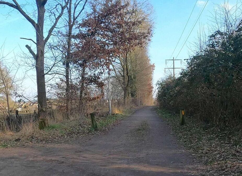 Radweg "An der Buchholzer Bahn" ohne Poller Radweg "An der Buchholzer Bahn" ohne Poller