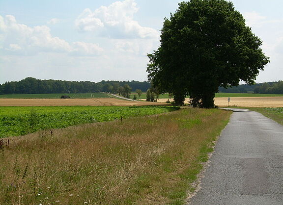 Landstraße mit Tempo 100 km/h