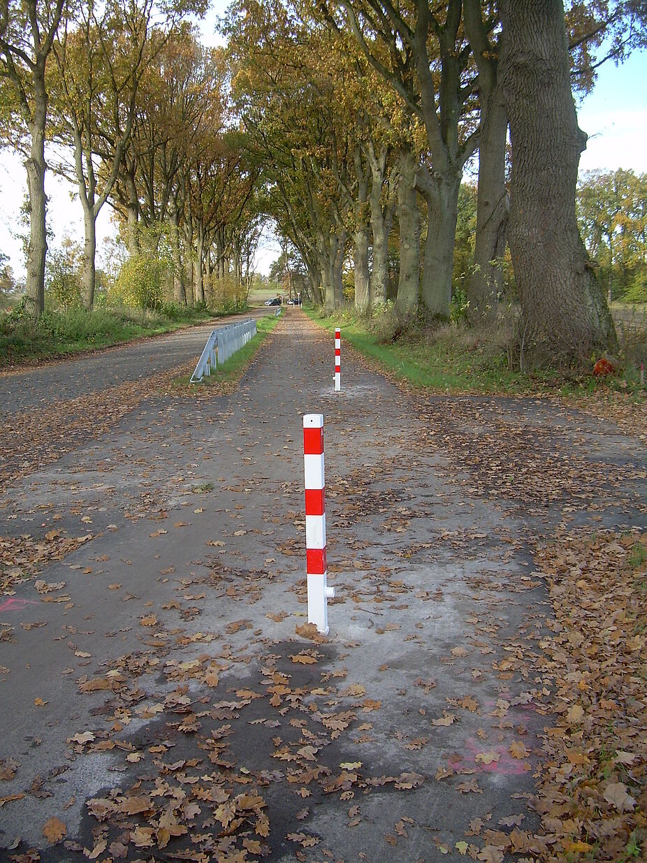 Poller zum Schutz vor Zerstörung durch Autofahrer