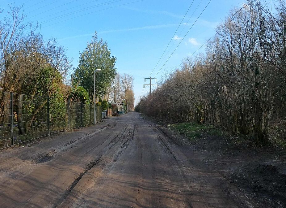 Radwegruine "An der Buchholzer Bahn" im März 2025 Radwegruine "An der Buchholzer Bahn" im März 2025