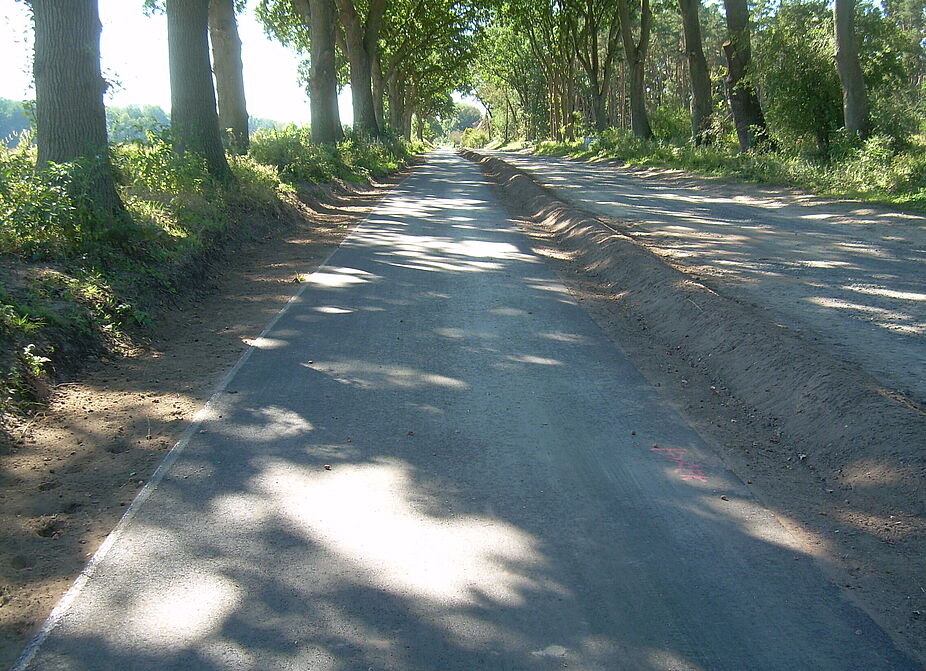 Radweg von Reppenstedt nach Vögelsen Radweg zwischen Reppenstedt und Vögelsen