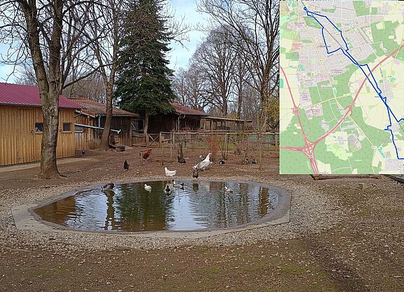 Umweltgarten mit Teich und Karte